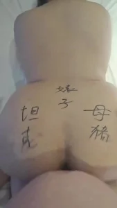石家庄开坦克