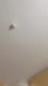 前女友大喊操我